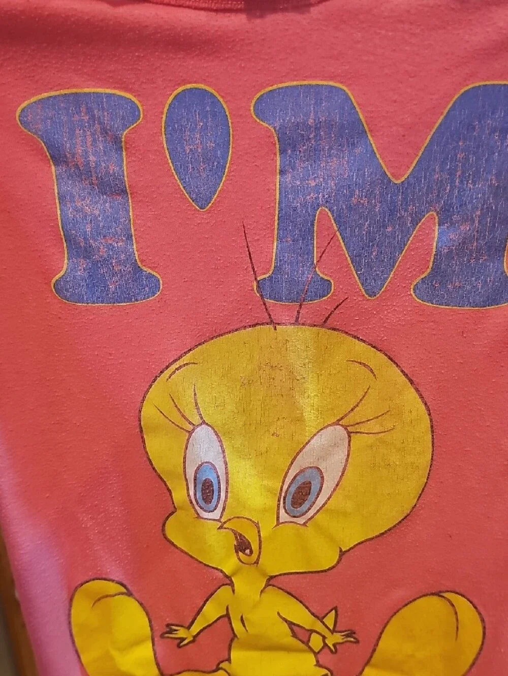 Warner Bros. Pink Tweety Short Sleeve Tee